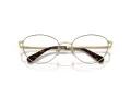 Swarovski SK 1002 4013 53 Women glasses