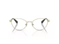 Swarovski SK 1002 4013 53 Women glasses