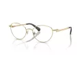 Swarovski SK 1002 4013 53 Women glasses