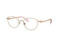 Swarovski SK 1002 4014 51 Women glasses