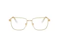 Swarovski SK 1003 4004 55 Women glasses