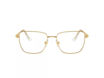 Swarovski SK 1003 4004 55 Women glasses