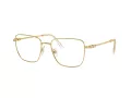 Swarovski SK 1003 4004 55 Women glasses