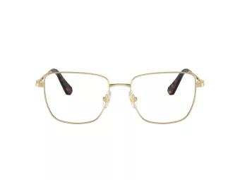 Swarovski SK 1003 4013 53 Women glasses