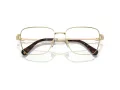 Swarovski SK 1003 4013 53 Women glasses