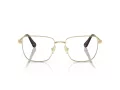 Swarovski SK 1003 4013 53 Women glasses