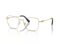 Swarovski SK 1003 4013 53 Women glasses