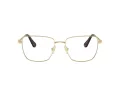 Swarovski SK 1003 4013 55 Women glasses