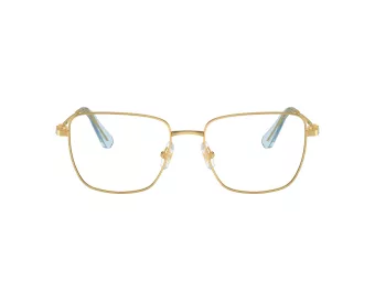 Swarovski SK 1003 4021 53 Women glasses