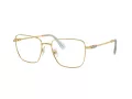 Swarovski SK 1003 4021 53 Women glasses