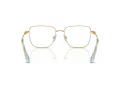 Swarovski SK 1003 4021 53 Women glasses