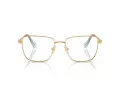 Swarovski SK 1003 4021 53 Women glasses