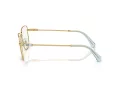 Swarovski SK 1003 4021 53 Women glasses