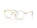 Swarovski SK 1003 4021 53 Women glasses