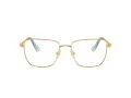 Swarovski SK 1003 4021 55 Women glasses