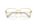 Swarovski SK 1003 4021 55 Women glasses