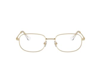 Swarovski SK 1005 4013 54 Women glasses