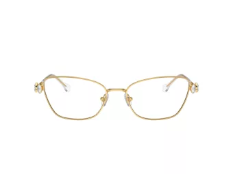 Swarovski SK 1006 4013 55 Women glasses