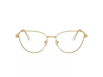 Swarovski SK 1007 4004 53 Women glasses