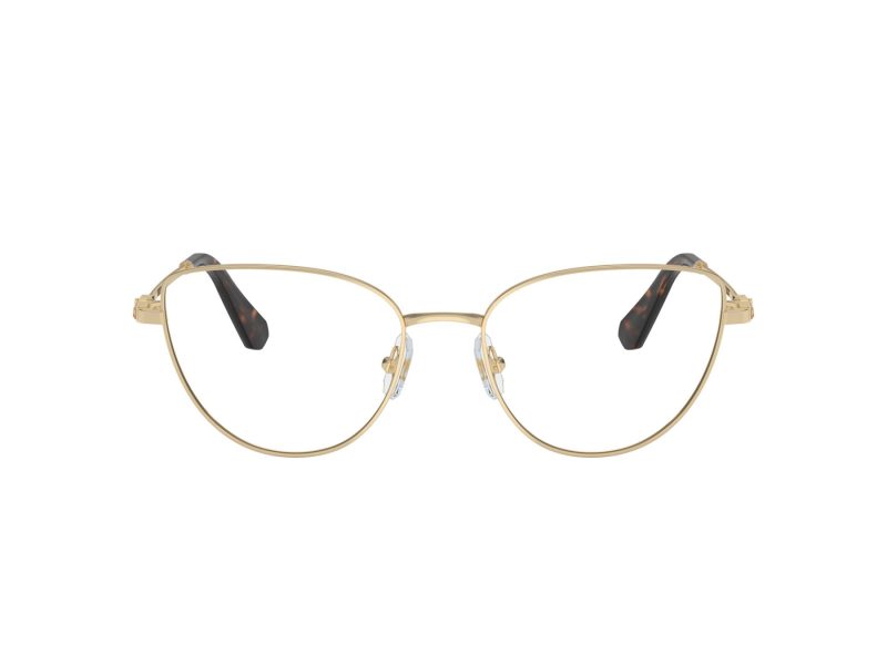 Swarovski SK 1007 4013 53 Women glasses