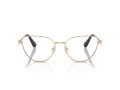Swarovski SK 1007 4013 53 Women glasses