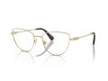 Swarovski SK 1007 4013 53 Women glasses