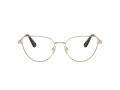 Swarovski SK 1007 4013 55 Women glasses