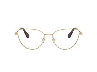 Swarovski SK 1007 4013 55 Women glasses