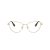 Swarovski SK 1007 4013 55 Women glasses