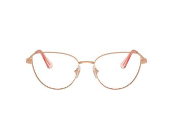 Swarovski SK 1007 4014 53 Women glasses