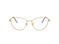 Swarovski SK 1007 4021 53 Women glasses