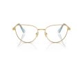 Swarovski SK 1007 4021 53 Women glasses