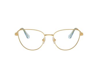 Swarovski SK 1007 4021 55 Women glasses