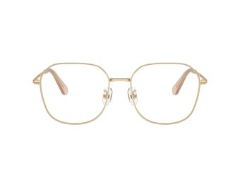 Swarovski SK 1009D 4013 58 Women glasses