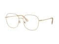 Swarovski SK 1009D 4013 58 Women glasses