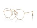 Swarovski SK 1009D 4013 58 Women glasses
