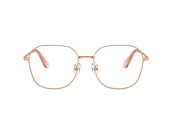 Swarovski SK 1009D 4014 58 Women glasses