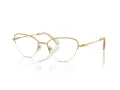 Swarovski SK 1010 4004 53 Women glasses