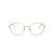 Swarovski SK 1011 4014 55 Women glasses