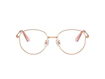 Swarovski SK 1016D 4014 54 Women glasses