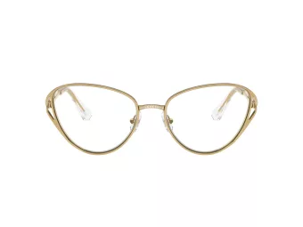 Swarovski SK 1017 4004 57 Women glasses