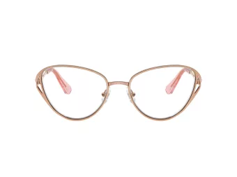 Swarovski SK 1017 4014 57 Women glasses