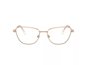 Swarovski SK 1018 4014 53 Women glasses