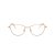 Swarovski SK 1018 4014 53 Women glasses