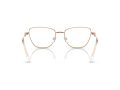 Swarovski SK 1018 4014 53 Women glasses