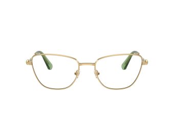 Swarovski SK 1018 4017 53 Women glasses