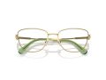 Swarovski SK 1018 4017 53 Women glasses