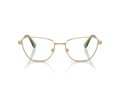 Swarovski SK 1018 4017 53 Women glasses