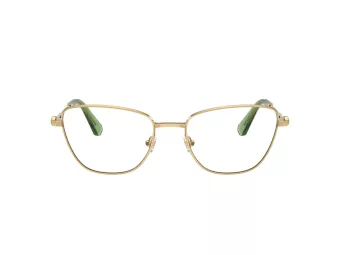 Swarovski SK 1018 4017 55 Women glasses