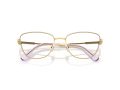 Swarovski SK 1018 4036 53 Women glasses